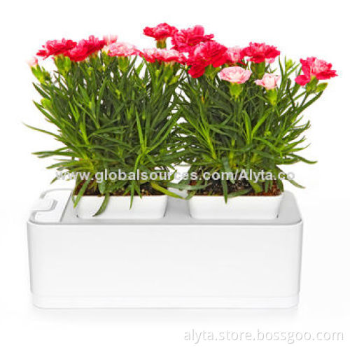 Fashionable Accessory/Automatic Hydroponic Grow Furniture, Auto-watering, UV Oil Painting